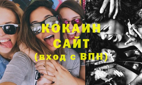 мдпв Заводоуковск
