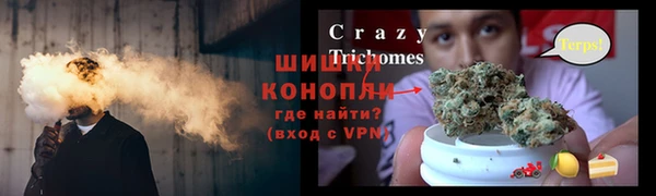 мдпв Заводоуковск