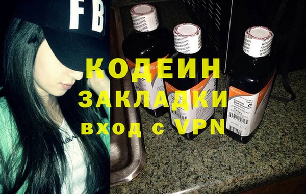 мдпв Заводоуковск