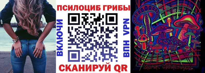 Галлюциногенные грибы Psilocybe  KRAKEN   Зеленодольск 